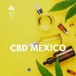 cbd en mexico